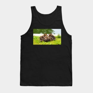 Canada Geese Goslings Huddling Together Tank Top